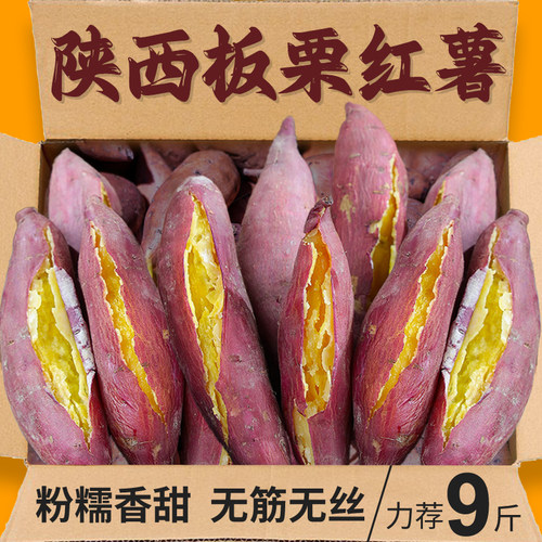正宗陕西板栗红薯力荐9斤包邮