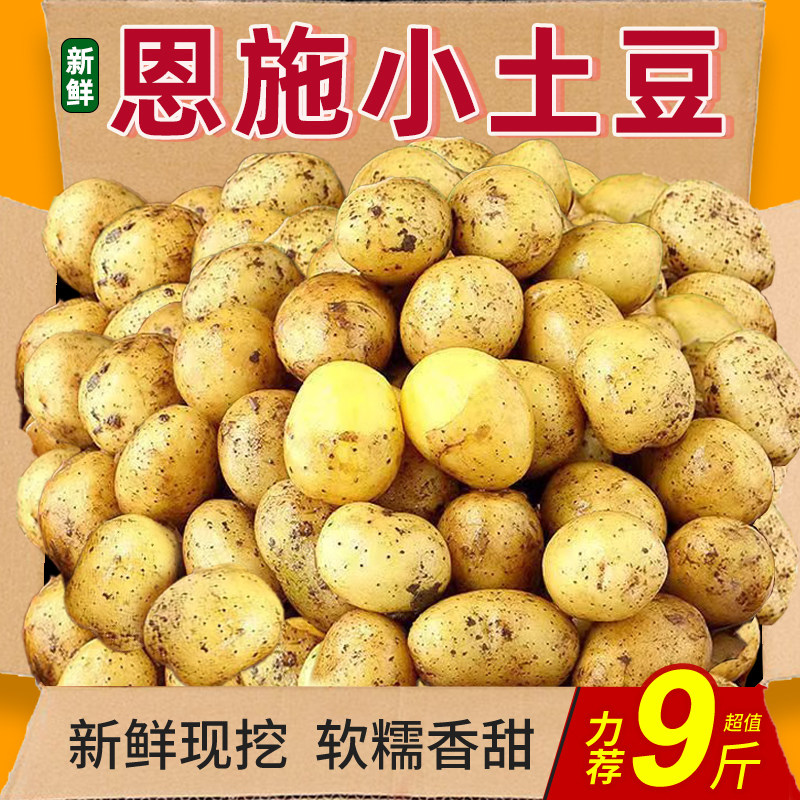 恩施富硒小土豆正宗马尔科新鲜迷你高山洋芋9马铃薯黄心土豆洋芋