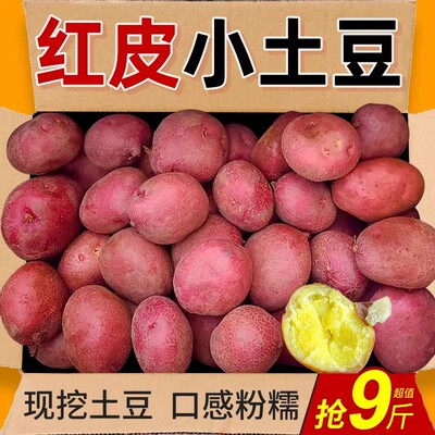 云南新鲜红皮黄心大土豆9斤包邮2026新农家红洋芋粉面高山马铃薯