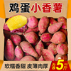 黄心鸡蛋薯新鲜沙地红薯5斤临安天目山小香薯品种沃容红蜜薯山芋