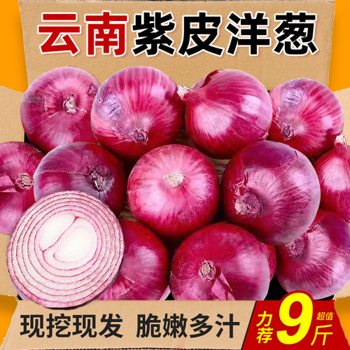 新鲜紫皮洋葱力荐9斤包邮