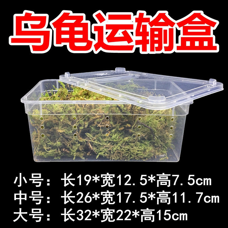 爬虫蜘蛛乌龟饲养运输透气盒子塑料透明塑料盒乌龟打包发快递盒图片
