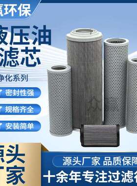 众赢环保 不锈钢滤芯过滤器工业化工行业折叠液压油滤芯4PD110X16