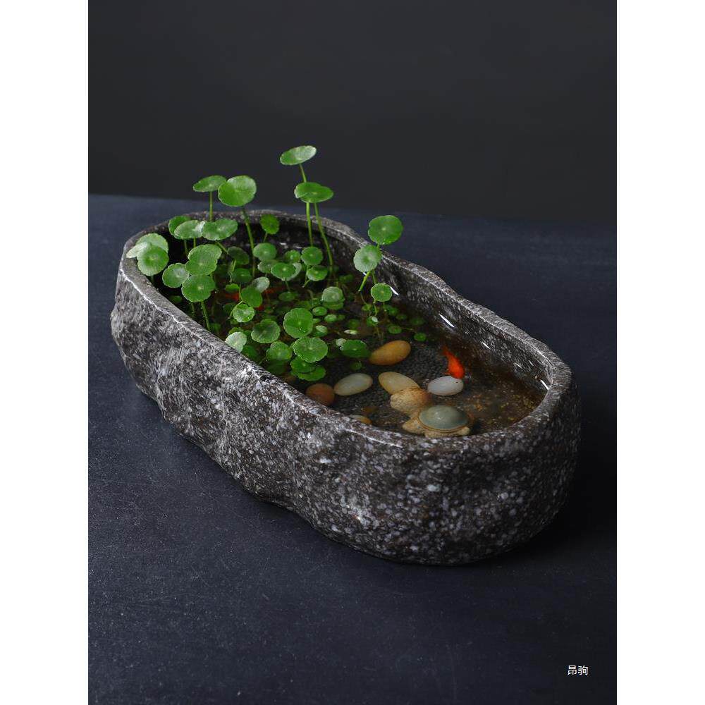大口径无孔水仙花盆陶瓷睡莲碗莲特大号水培花器养鱼鱼缸花器桌面
