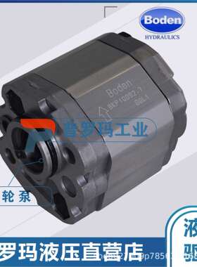 现货博顿BODEN齿轮油泵BKP0.5B0-D-0.19G0L0/0.26/0.38/1.25/2.0