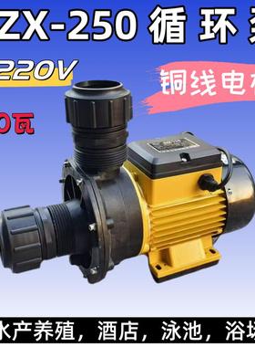 220V循环泵HZX-250 饭店水族箱海鲜馆海水自吸泵250W养殖水净化