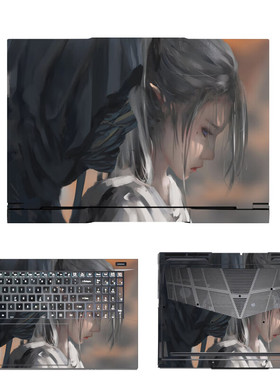 适用17.3英寸七彩虹（Colorful）将星X17ProMAX电脑贴膜笔记本贴纸机身外壳保护外壳保护膜免裁剪