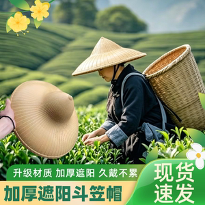 大帽檐仿竹帽塑料帽防水雨帽户外防晒男女通用四季可戴田园劳动帽