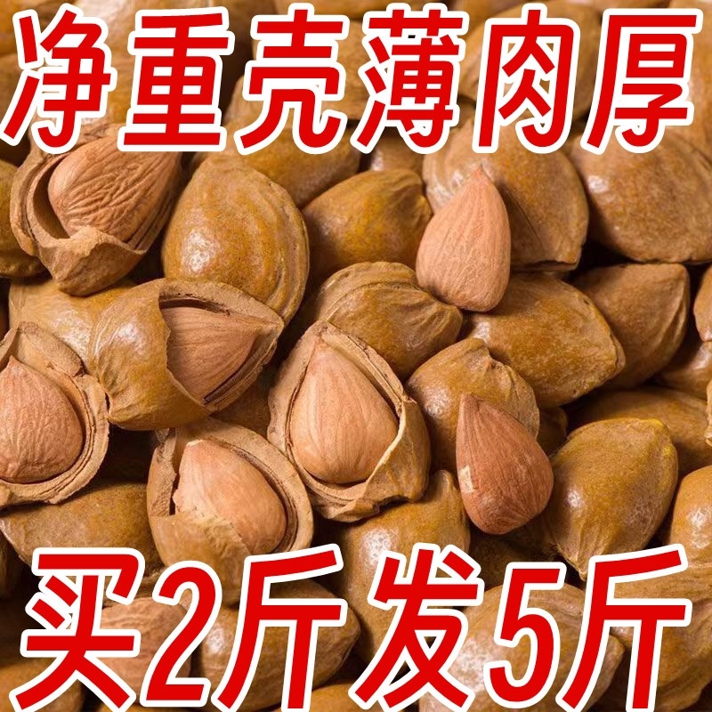 新疆特产开口杏核手剥小白杏500g零食坚果手剥干果带壳无添加