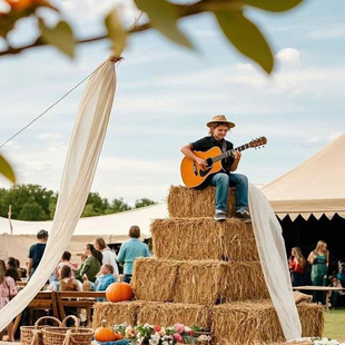 安世佳稻草垛子装饰婚庆草垛凳子道具露营草垛沙发草墩子正品