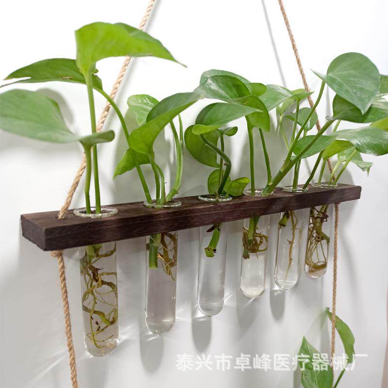 三层六孔创意挂壁式玻璃水培试管翻边试管单层绿萝插花瓶墙面装饰