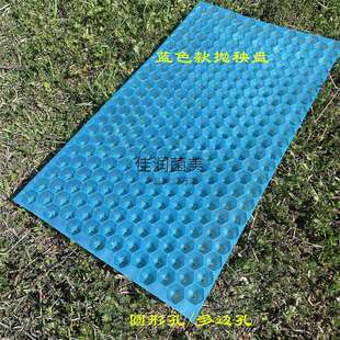 塑料育苗盘353穴盘手抛秧盘水稻盘人工蓝色爆款优质秧苗托盘