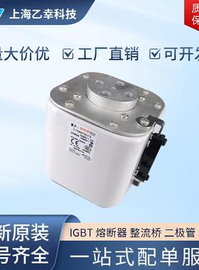 巴斯曼熔断器 170M7605 170M7608 170M7622 170M7636 170M7639