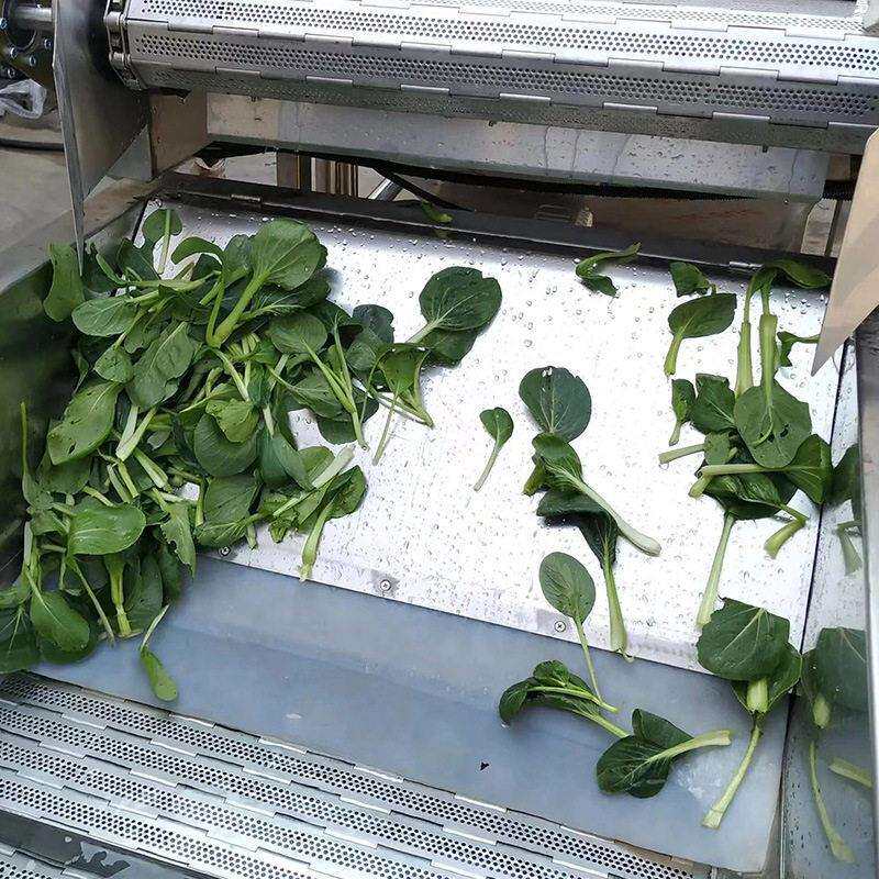 叶菜类蔬菜清洗风干流水线 蔬菜大型风干沥水流水线 精准参数配置