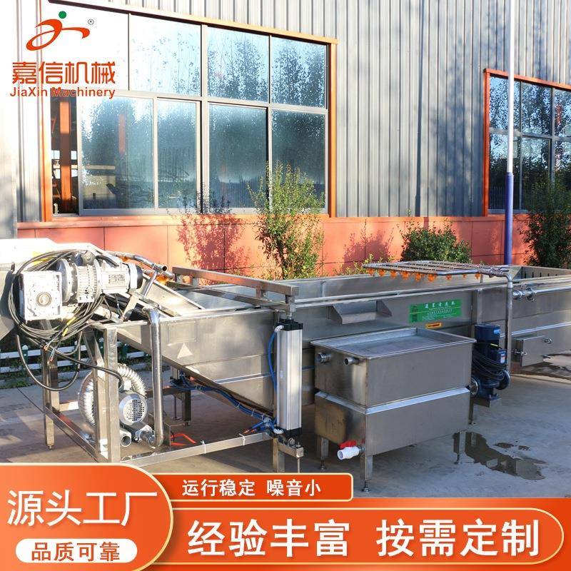 辣椒全自动喷淋清洗机果蔬气泡清洗机苹果清洗设备多功能洗菜机