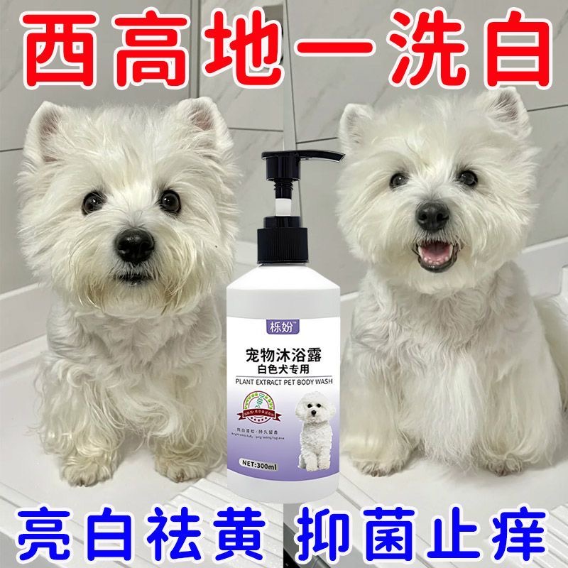 西高地梗犬白毛专用沐浴露狗狗去黄净白蓬松毛发祛味香波沐浴液