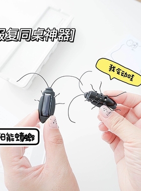 太阳能蟑螂小玩具 创意个性昆虫科学DIY手工儿童模型摆件 小玩物
