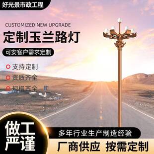 市政工程园林灯亮化工程电力局开发区别墅区中华灯厂家