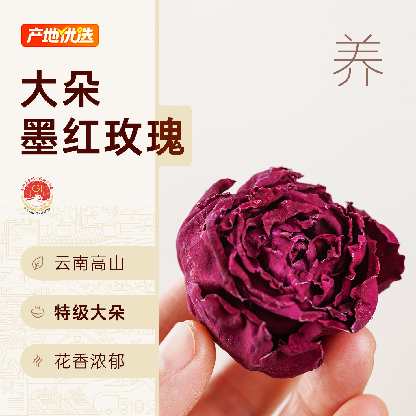 墨红玫瑰养颜疏肝超大朵0添加