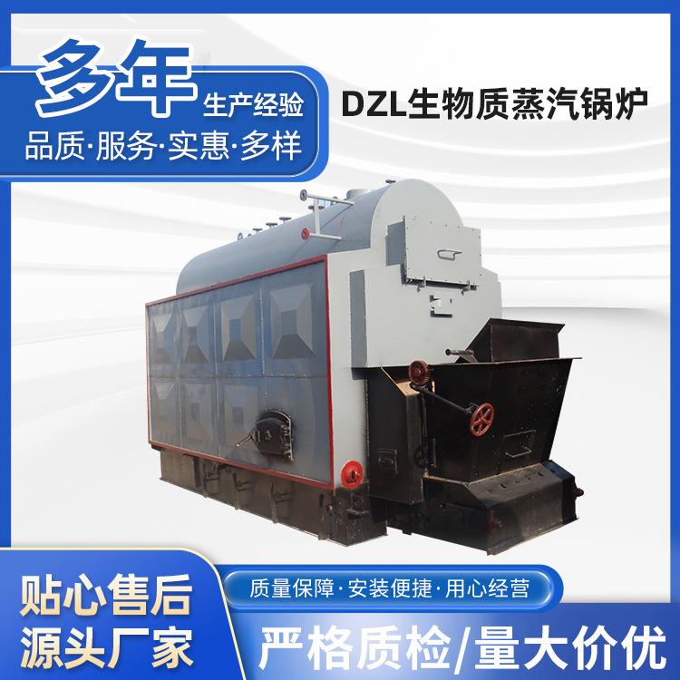 DZL生物质链条蒸汽锅炉烧煤蒸汽炉双锅筒生物质颗粒蒸汽洗涤锅炉
