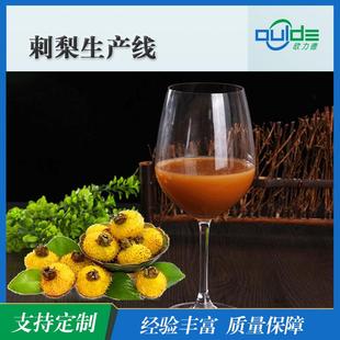 厂家直供大小型果汁果酱饮料刺梨浊汁全自动生产线
