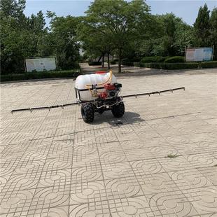 双药动力驾乘用多喷头式 喷杆可折叠定制双动力果园草坪打机 果园