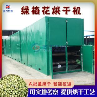 绿梅花烘干机 大型网带式绿萼梅白梅花脱水干燥机 干枝梅烘干设备