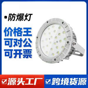 沈防灰色国标LED防爆工矿灯