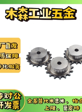 SP40B BSP40B SSP40B9 10 11 12 13 14 15-17-18-N/S 米思米链轮