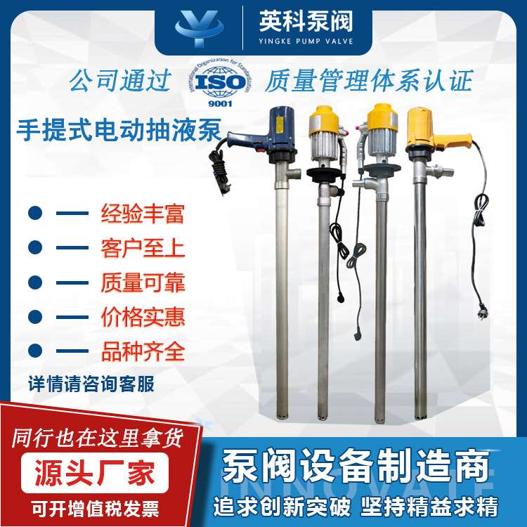 电动抽液泵手提式大功率抽油泵220V油桶泵柴油泵防腐蚀神器加油机