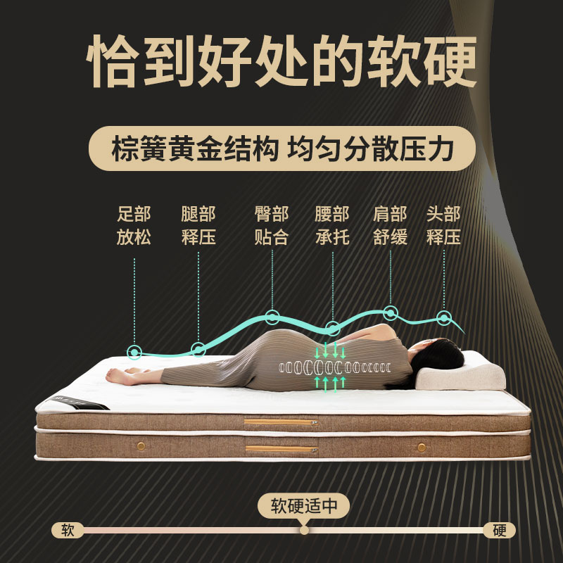 椰棕床垫榻榻米硬垫可折叠双人x卧室独立弹簧乳胶软垫定制厚20cm