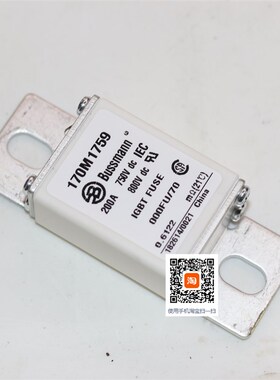 巴斯曼170M1750 1751 1752 1753 170M1754 1755 1756直流熔断器