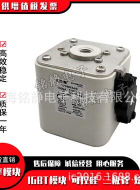 170M651310M65145170M615FFK17770M6516巴斯曼熔断器现货10M6517
