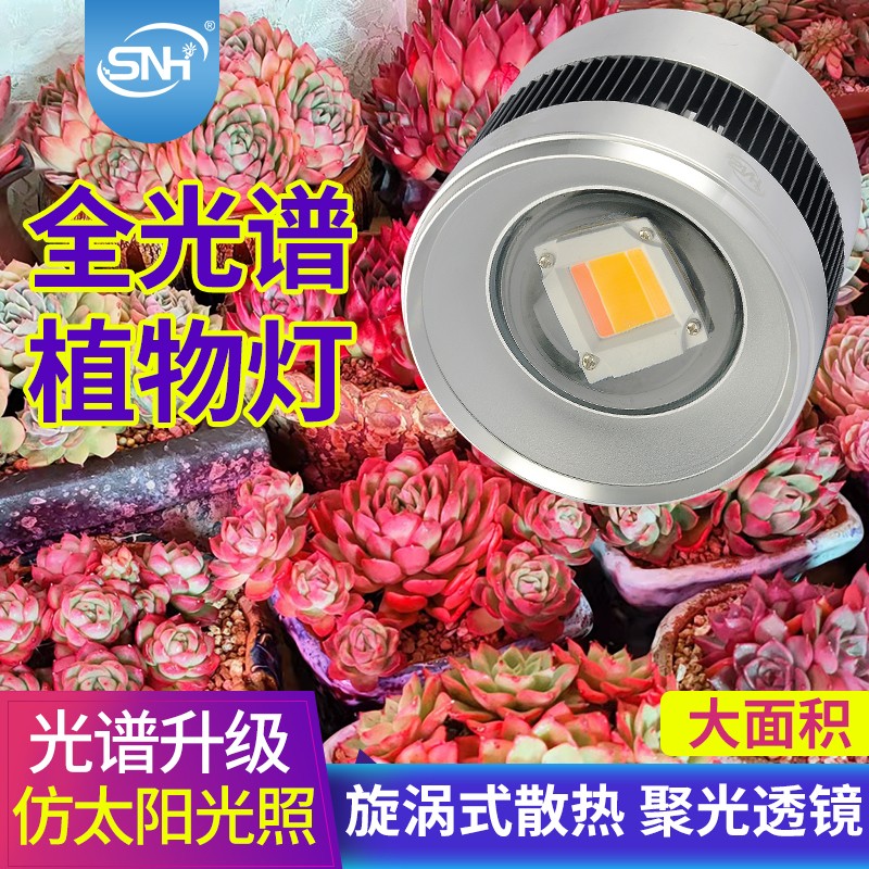 三农卉 多肉补光灯家用上色全光谱防徒Gled灯仿太阳筒灯植物生长