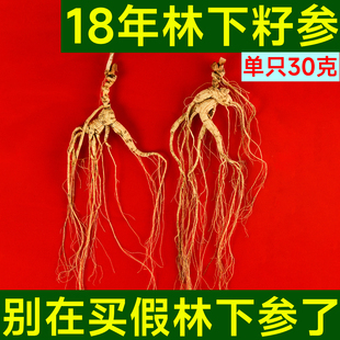 东北林下参18年野生状态下自然生长白山人叁新鲜生晒老干参粉礼盒