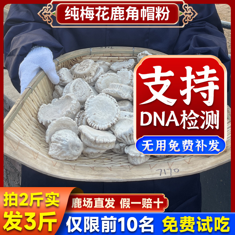 鹿角帽粉正品吉林长白山纯正梅花鹿鹿角冒托盘脱盘打粉官方旗舰店