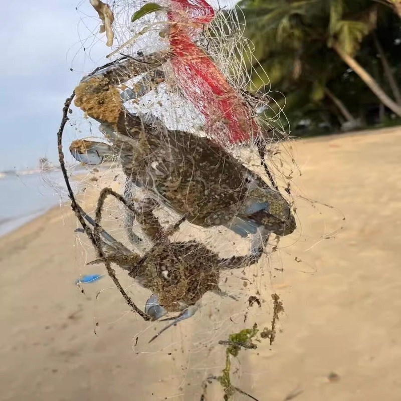 新款螃蟹网海用无铅坠霸王捆x爆炸网沙网皮皮虾捕蟹神器赶海防逃