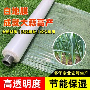 透明塑料工R程膜种植保护薄 地膜农用白地膜蔬菜大蒜花生保温保湿