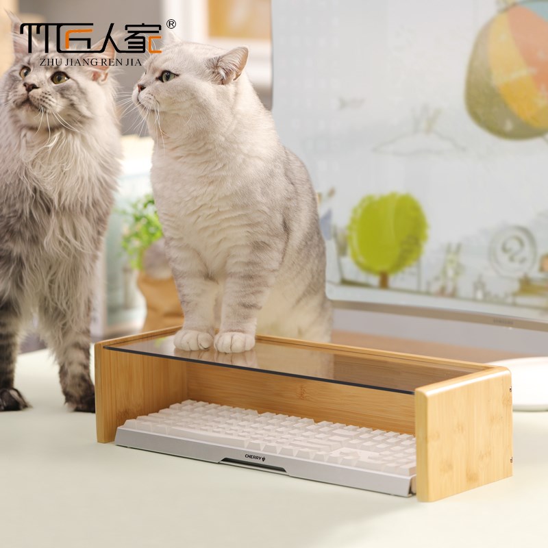 防猫电脑键d盘罩宠物防尘罩承重多功能钢化玻璃透明增高防猫键盘