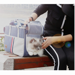 2021新款 宠i物包单肩手提斜跨猫包狗包泰迪比熊贵宾肥猫橘猫兔子