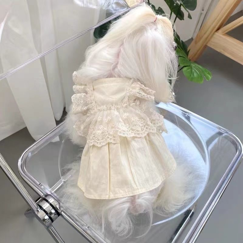 狗狗裙子小狗夏季m春秋衣服宠物小型犬泰迪比熊博美茶杯犬猫咪薄