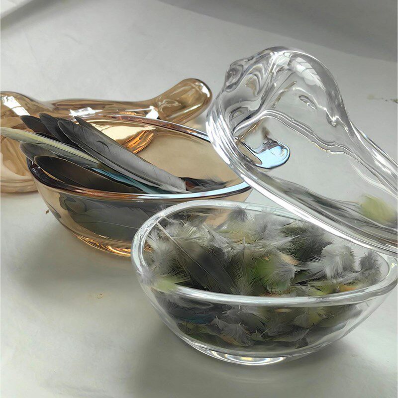 鹦鹉鸟笼配件玻璃收纳盒鸟羽毛收纳盒鸟笼装N饰品鸟笼啃咬玩具配
