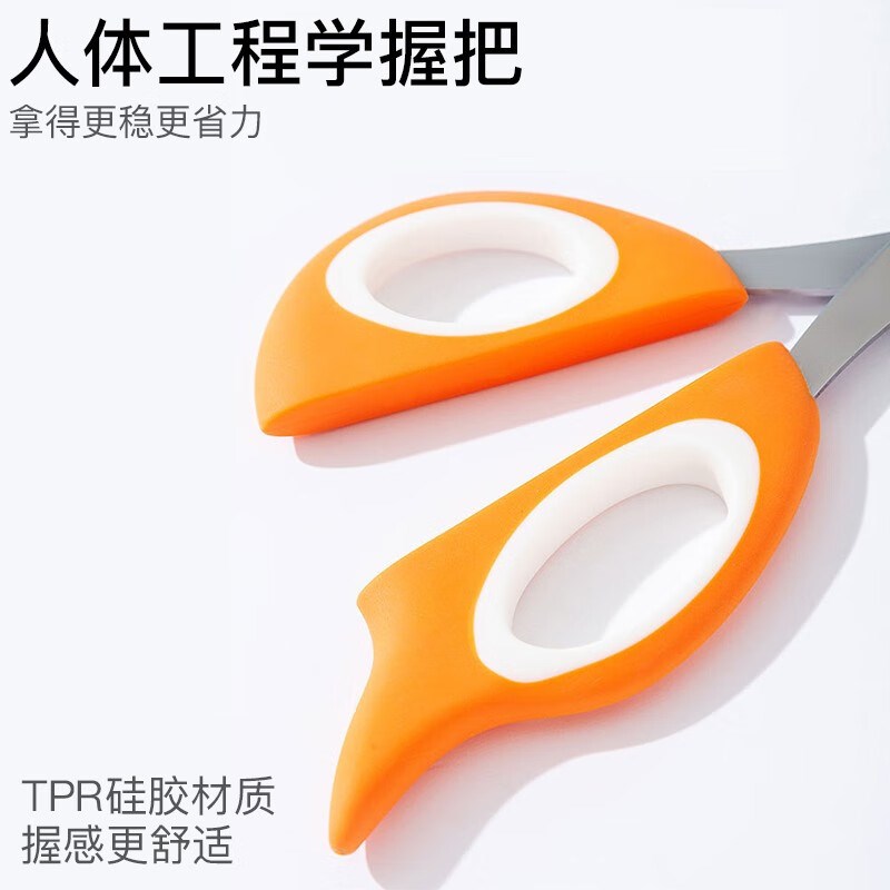 宠物双孔指甲剪i狗狗指甲钳保护血线猫咪修甲新手安全小盲剪