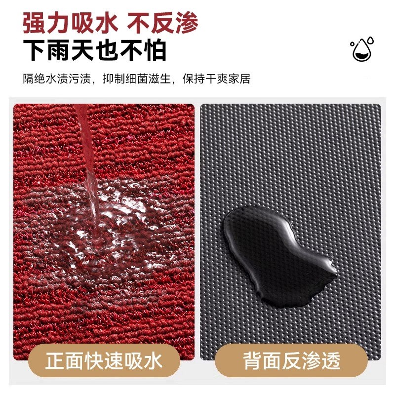 入户门地垫2024新款出入平安高级地毯门垫进门脚T垫红色除尘门口