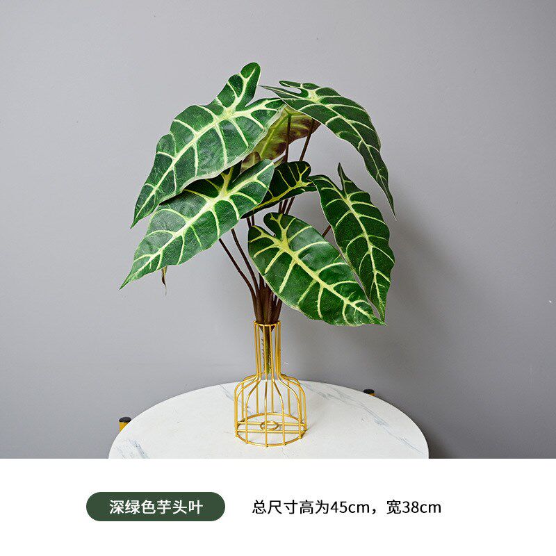 把束芋头叶仿真绿叶装饰源v头厂家一件代发软装花艺过胶手感叶子