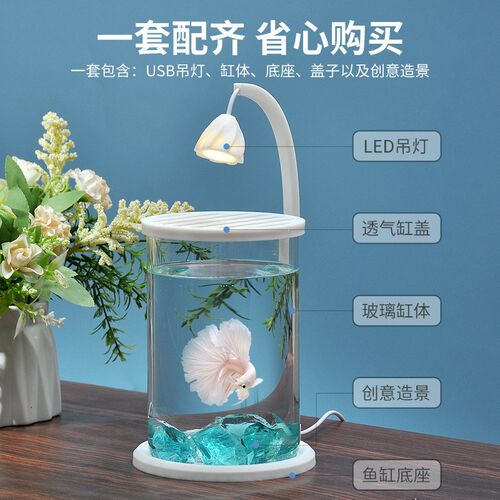 斗鱼适用缸小型网红创意造t景玻璃缸桌面观赏小夜灯装饰生态养鱼