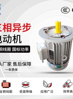 6极三相异步电动机YE3-90S/L-6交流立卧式马达0.75/1.1W电机