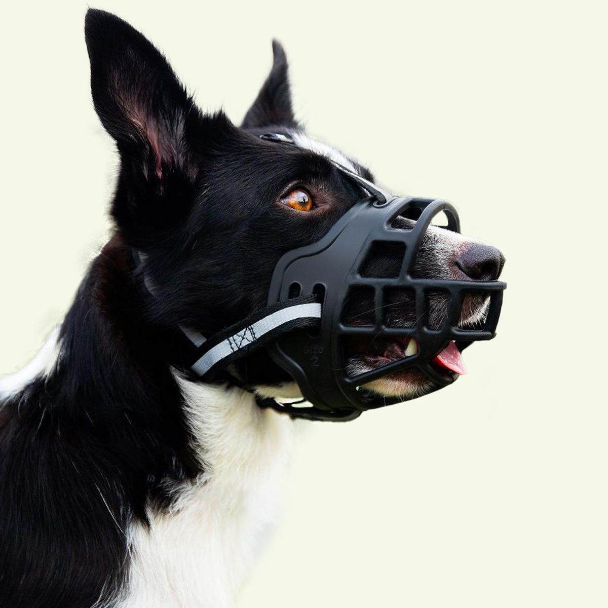 狗嘴套防咬防舔乱吃狗狗嘴罩防叫狗口罩硅胶宠物嘴套中小型犬罩子