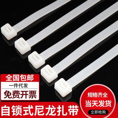 厂家自锁式尼龙扎带3*1004*200 4*250 5*300塑料绑带束线轧带
