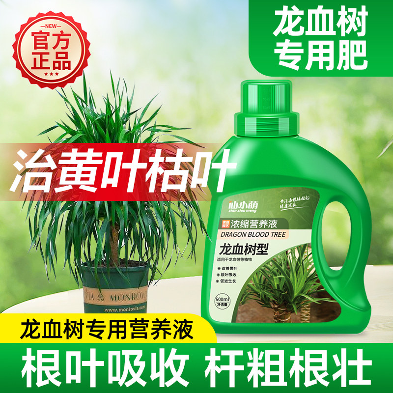 龙血树肥料专用肥料龙须树专用营养液治黄叶掉叶绿植盆栽家用花肥